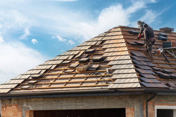 Best Roof Maintenance and Cleaning  in Redington Beach, FL